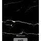 170497245518511